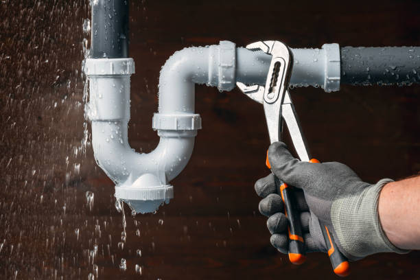 Professional Plumbing technician working in Emmett, MI